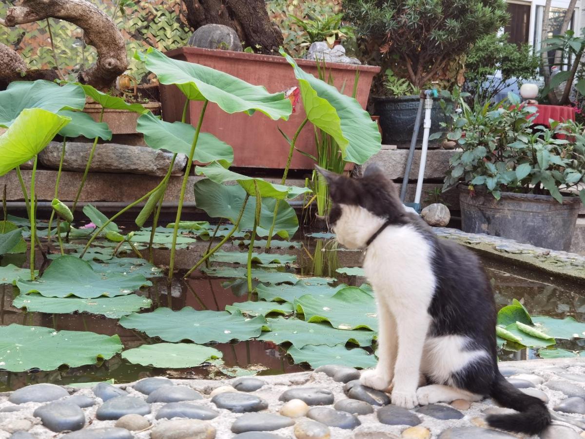 The Lily Pad Inn Dali  Esterno foto