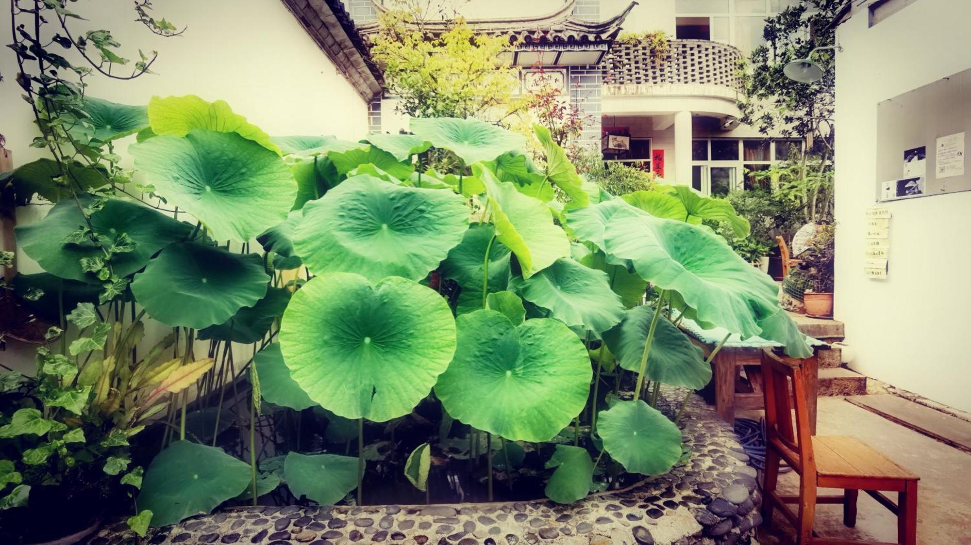 The Lily Pad Inn Dali  Esterno foto