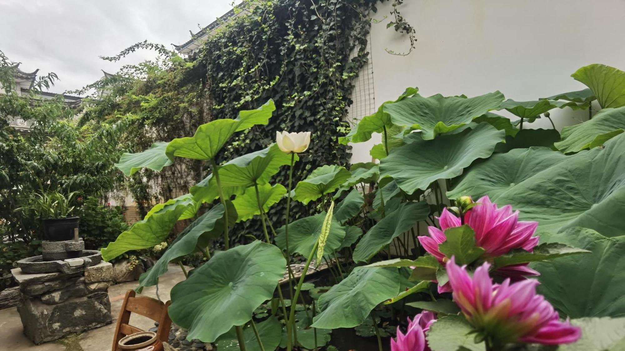The Lily Pad Inn Dali  Esterno foto