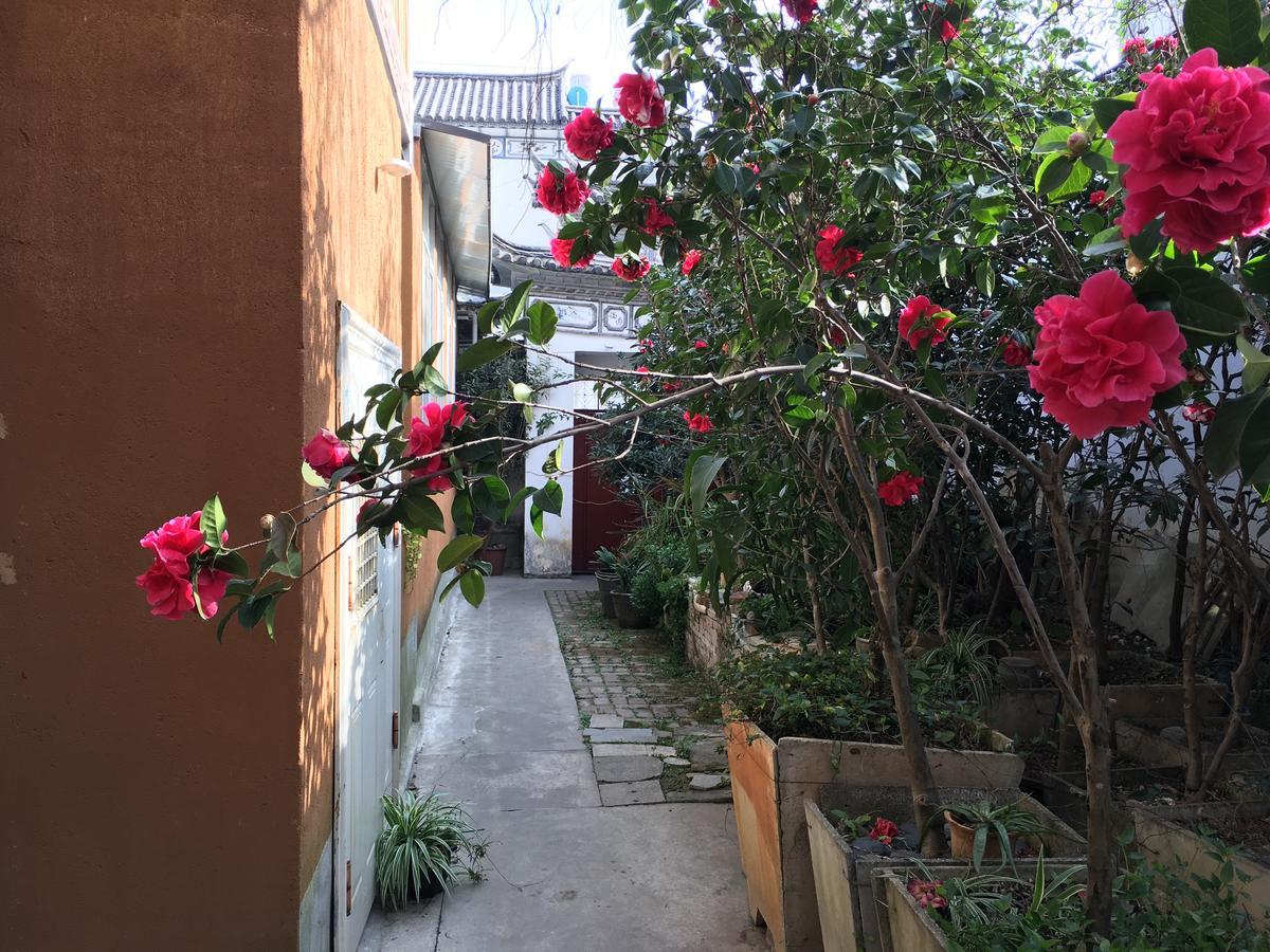 The Lily Pad Inn Dali  Esterno foto