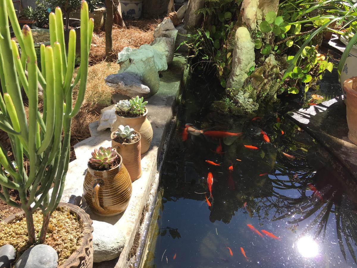 The Lily Pad Inn Dali  Esterno foto